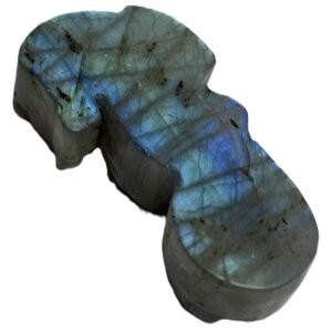 sea horse 1.5