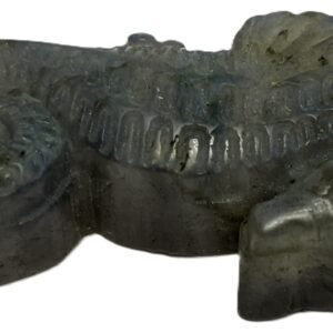 sea horse 1.4