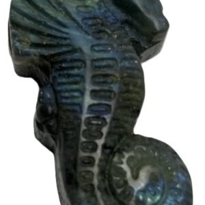 labradorite sea horse 2.1