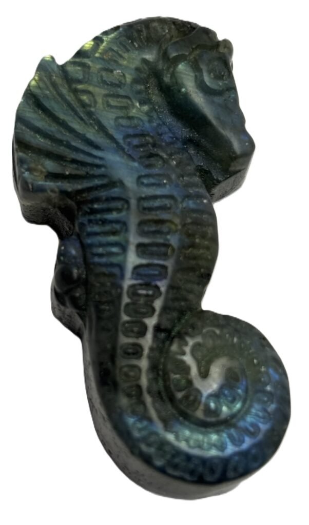 labradorite sea horse 2.1 - Sians Emporium labradorite sea horse 2.1