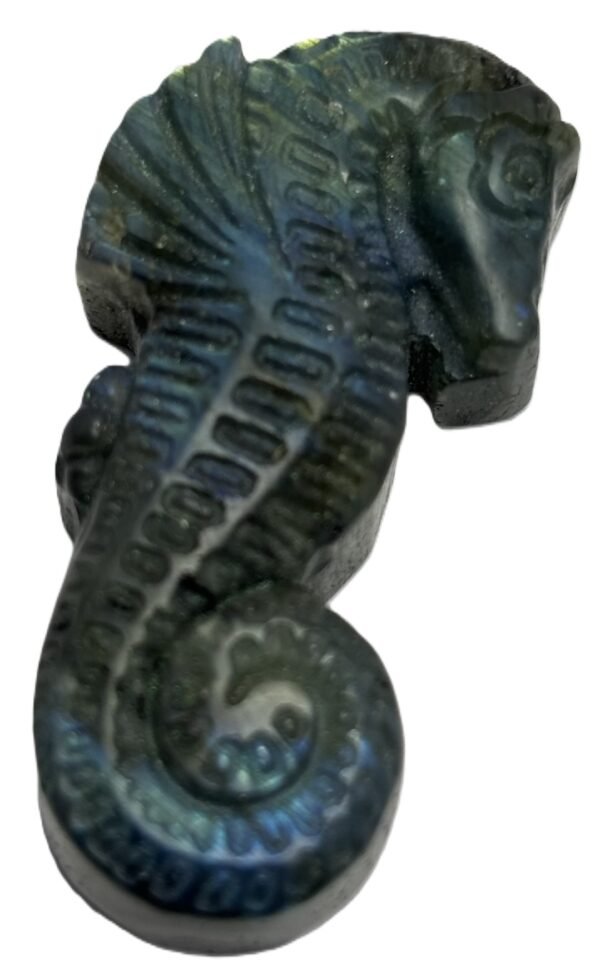 labradorite sea horse 2.2