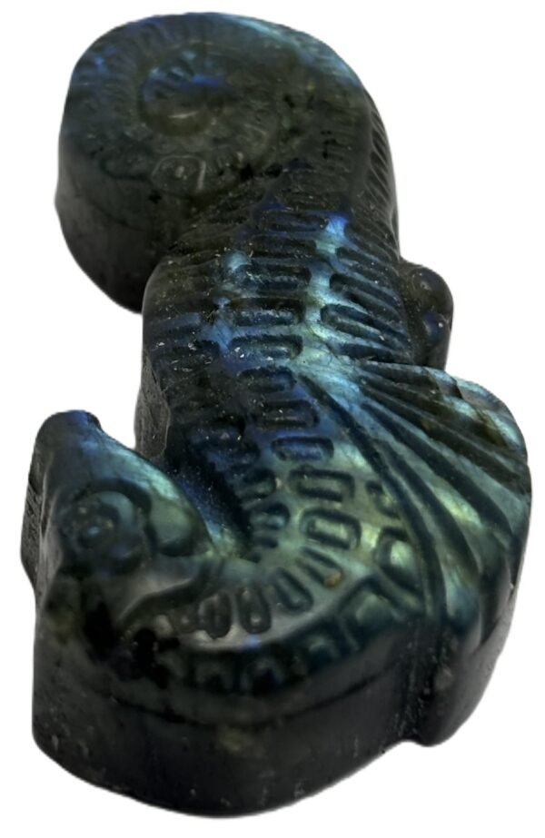 labradorite sea horse 2.4