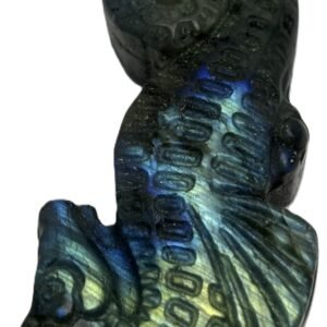 labradorite sea horse 2.5