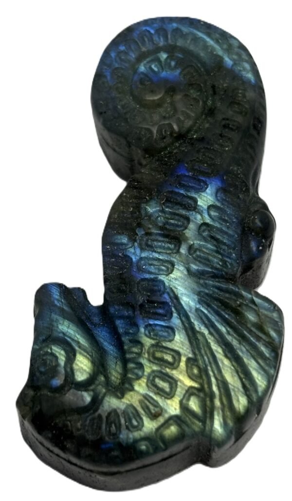labradorite sea horse 2.5