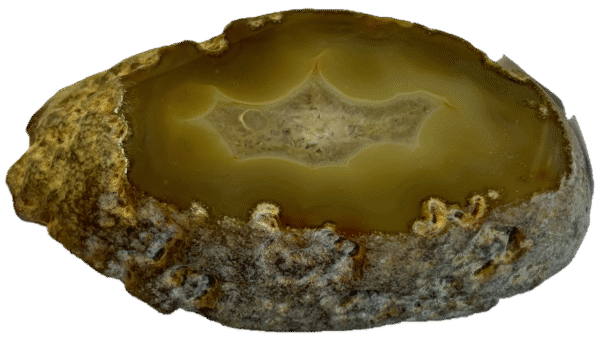 brown agate slice