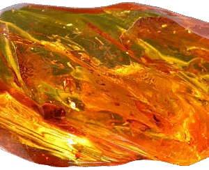 Amber Specimen
