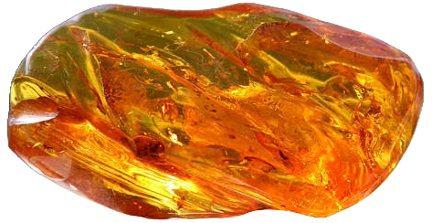 Amber Specimen - Sians Emporium Amber Specimen