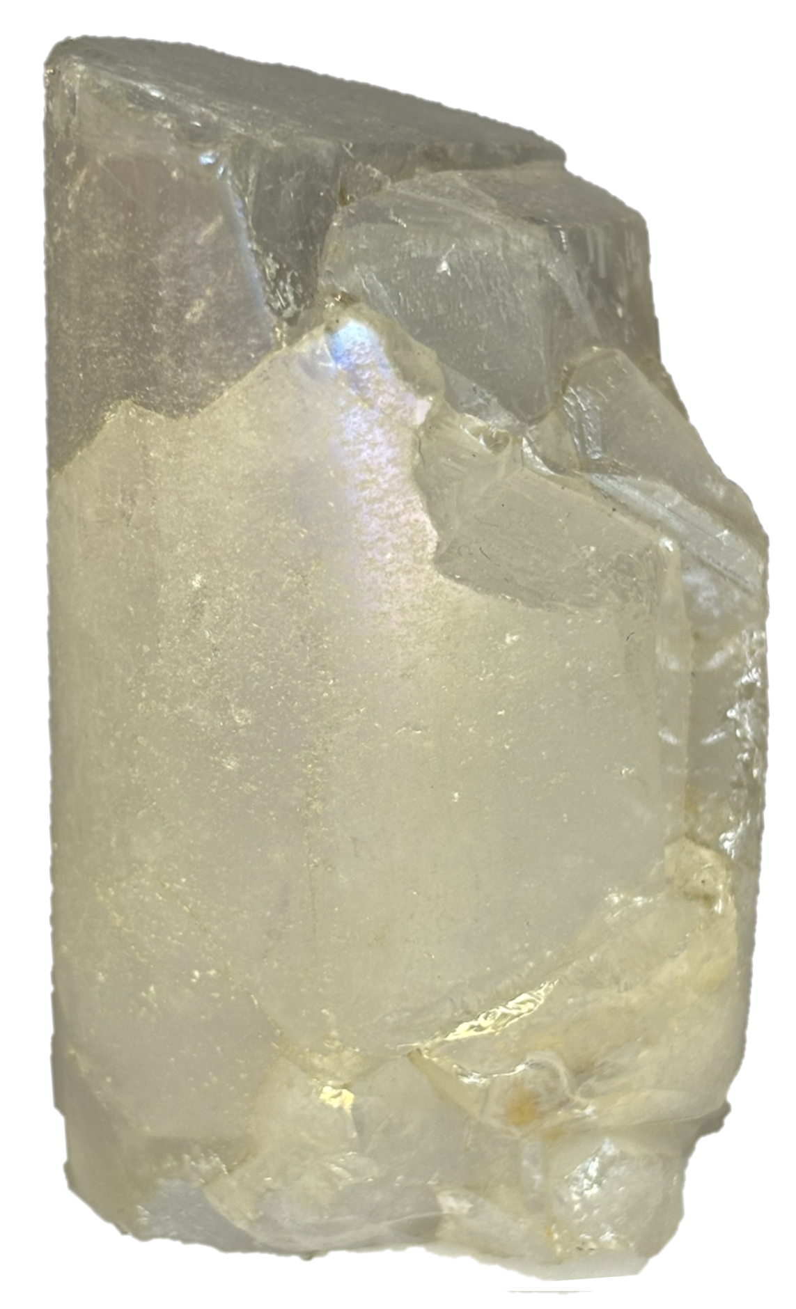 champagne aura Champ b1 - Sians Emporium champagne aura Champ b1