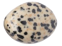 Dalmatian jasper