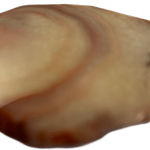 dulcote agate G2 - Sians Emporium dulcote agate G2