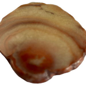 dulcote agate G3 - Sians Emporium dulcote agate G3