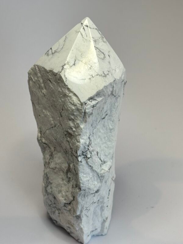 howlite HOW PE2 - Sians Emporium howlite HOW PE2