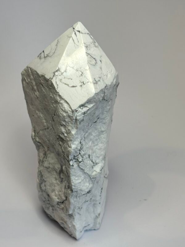 howlite HOW PE3 - Sians Emporium howlite HOW PE3