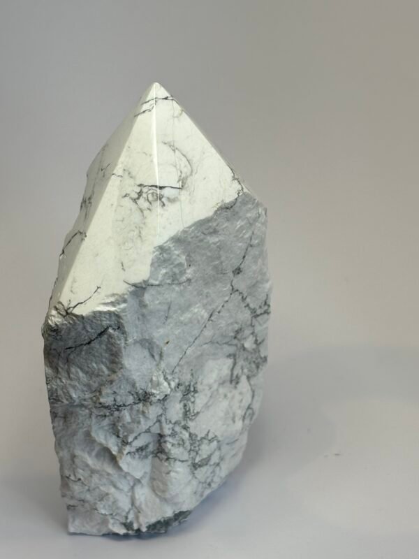 howlite HOW PE5 - Sians Emporium howlite HOW PE5