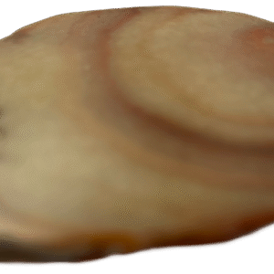 dulcote agate G4 - Sians Emporium dulcote agate G4