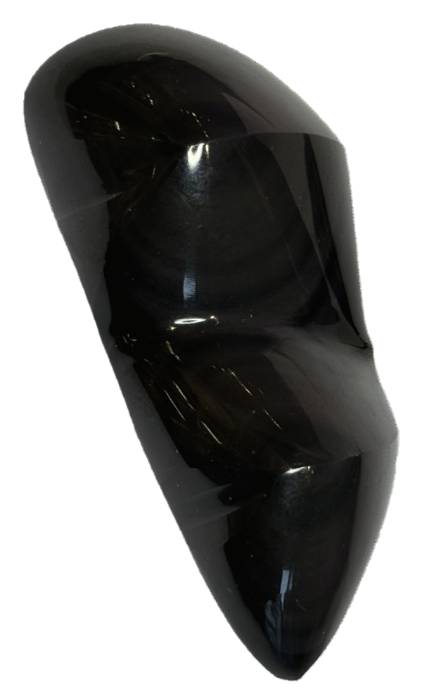 black obsidian blobsf 1