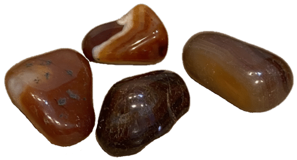 group of small brown agate tumble stone