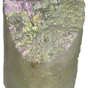 champagne aura champ a3 - Sians Emporium champagne aura champ a3