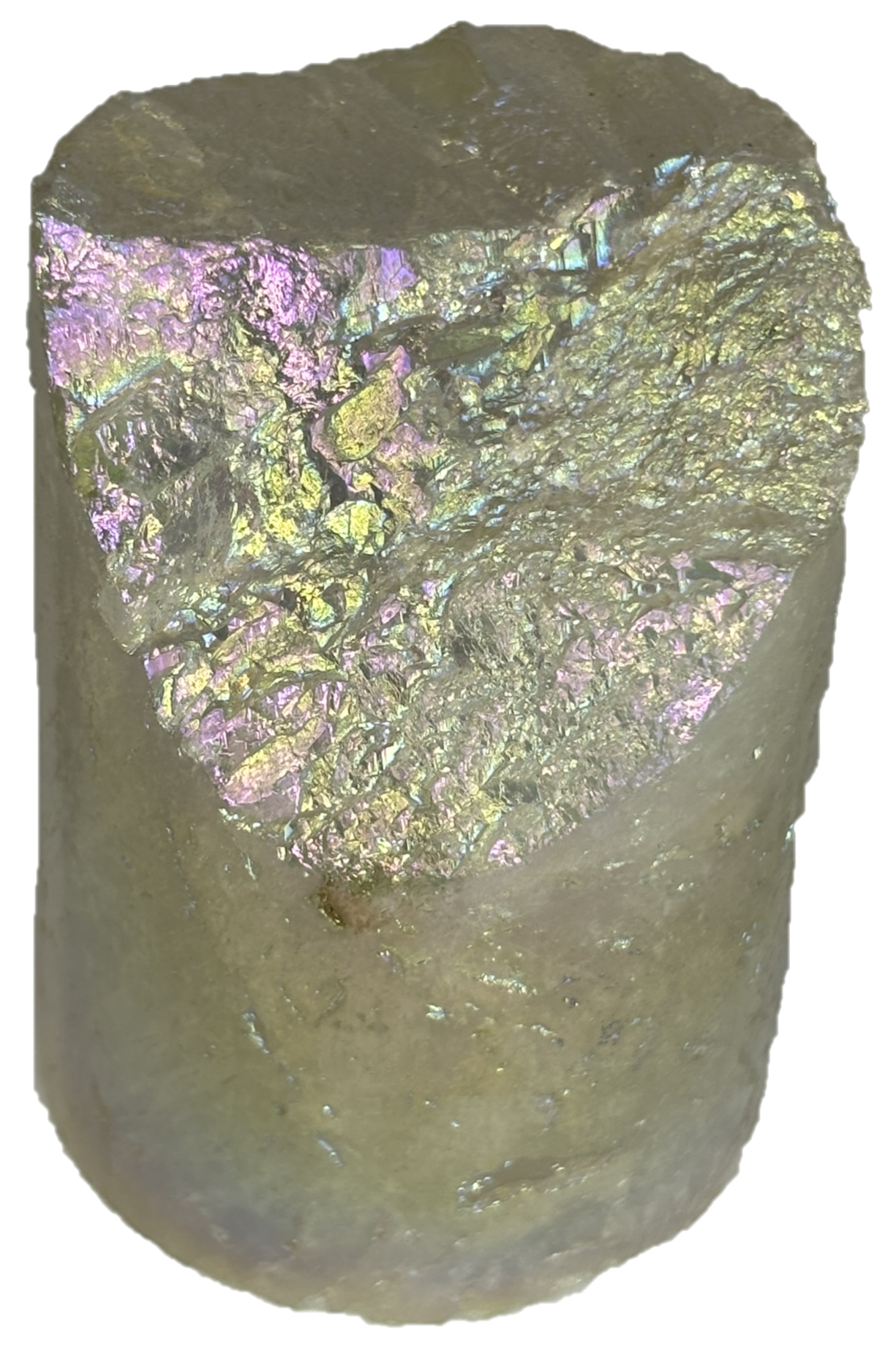 champagne aura champ a3 - Sians Emporium champagne aura champ a3