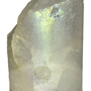 champagne aura Champ b3 - Sians Emporium champagne aura Champ b3