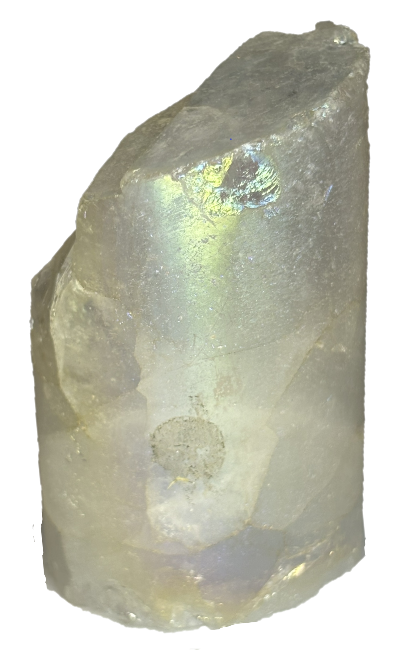 champagne aura Champ b3 - Sians Emporium champagne aura Champ b3