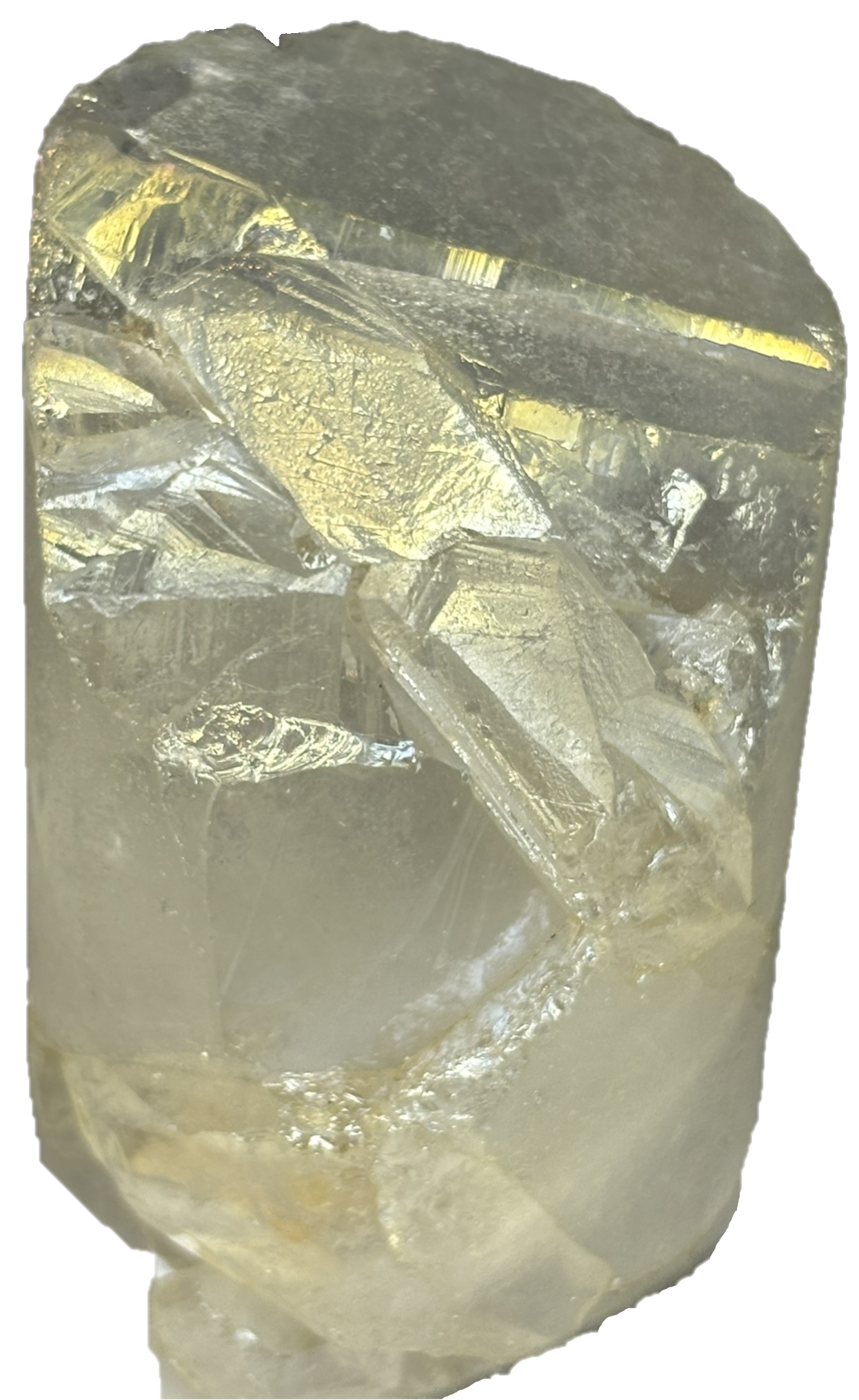 champagne aura Champ b3 - Sians Emporium champagne aura Champ b3