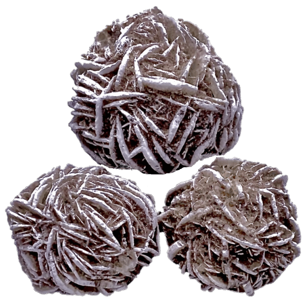 desert rose cluster
