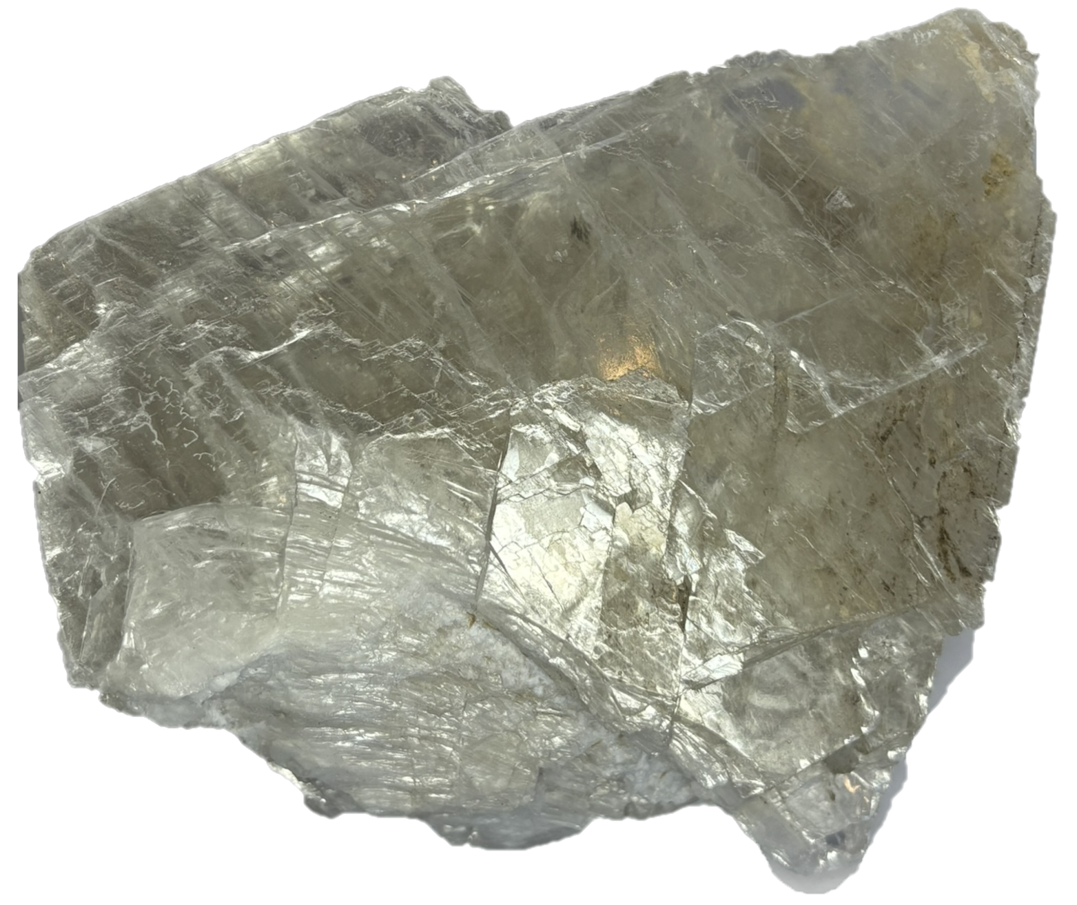 fishtail selenite fisha 1 - Sians Emporium fishtail selenite fisha 1