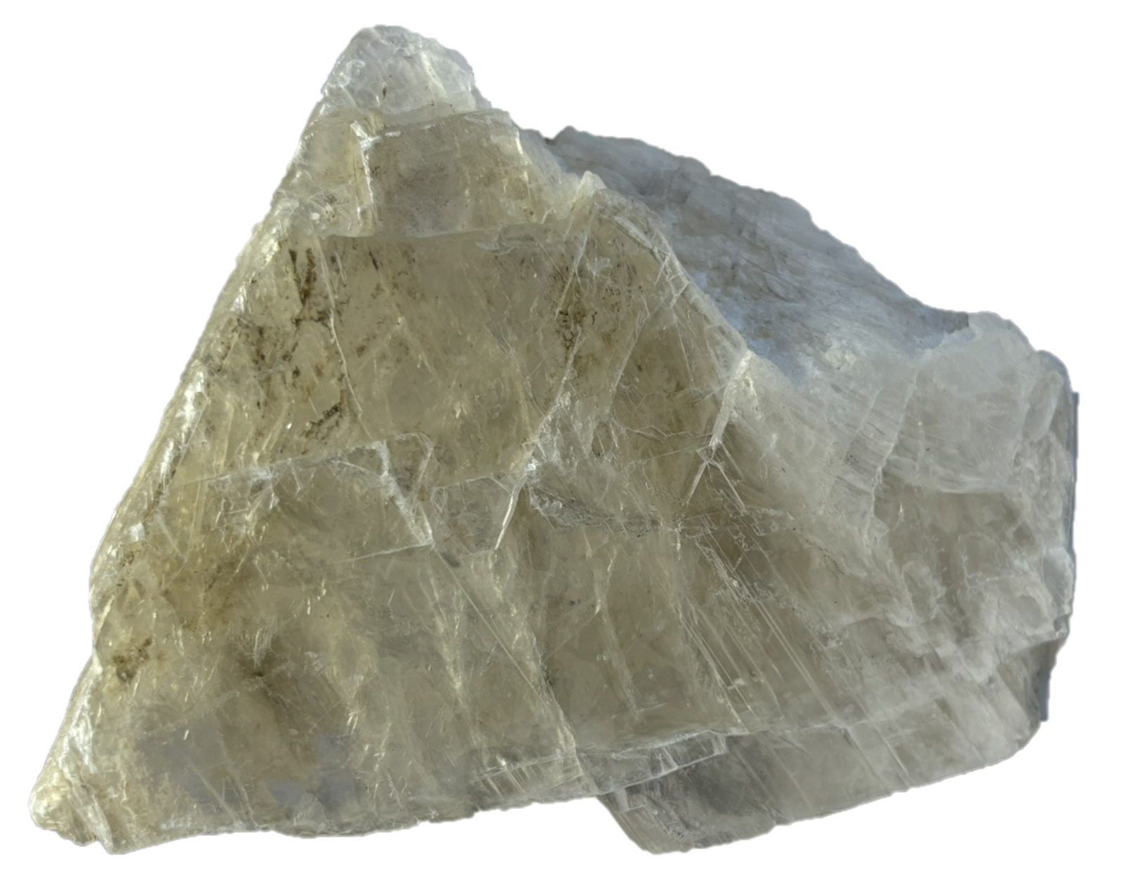 fishtail selenite fisha 3 - Sians Emporium fishtail selenite fisha 3