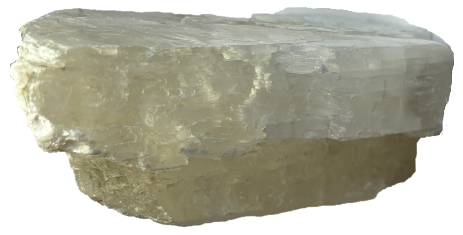 fishtail selenite fisha 4 - Sians Emporium fishtail selenite fisha 4