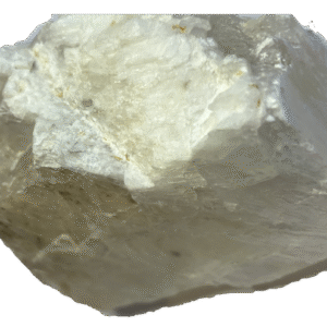 fishtail selenite fisha 5 - Sians Emporium fishtail selenite fisha 5