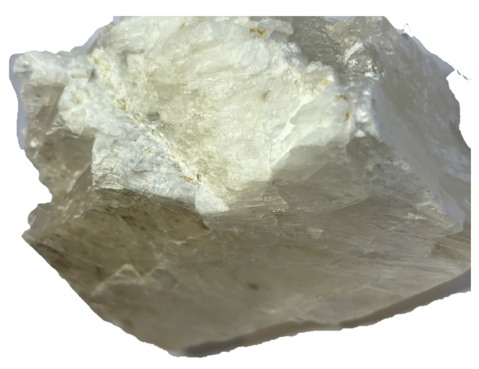 fishtail selenite fisha 5 - Sians Emporium fishtail selenite fisha 5