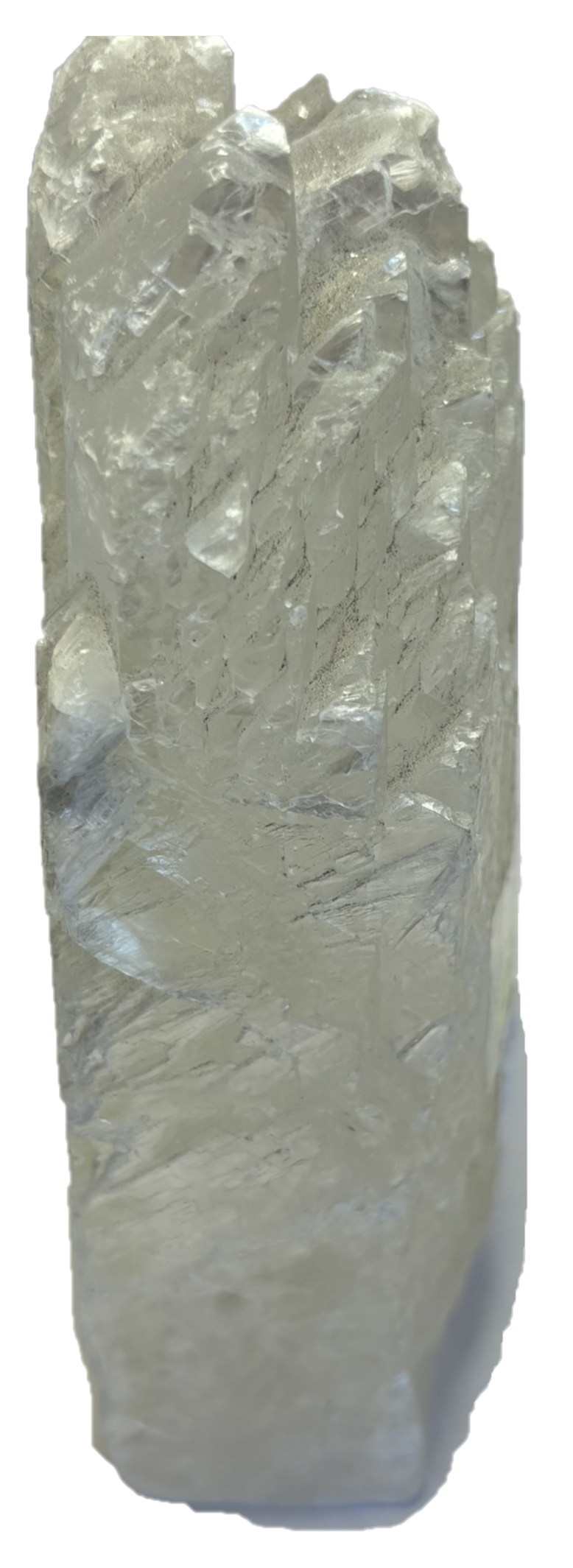 fishtail selenite fishb 1 - Sians Emporium fishtail selenite fishb 1