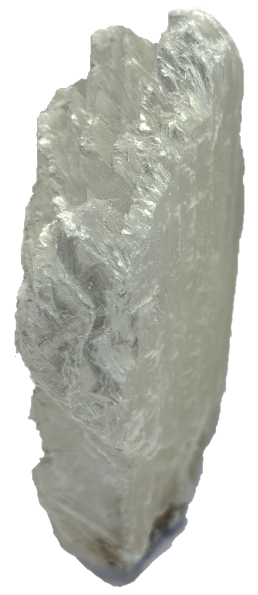 fishtail selenite fishb 2 - Sians Emporium fishtail selenite fishb 2