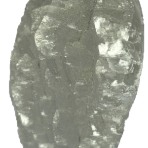 fishtail selenite fishb 3 - Sians Emporium fishtail selenite fishb 3