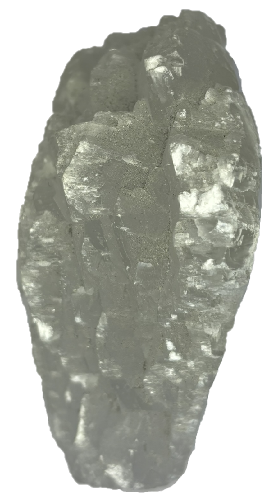 fishtail selenite fishb 3 - Sians Emporium fishtail selenite fishb 3