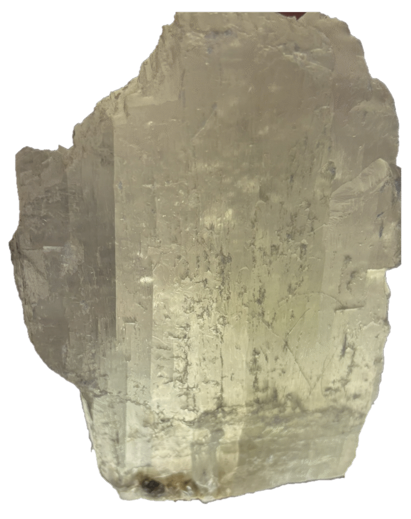 fishtail selenite fishb 4 - Sians Emporium fishtail selenite fishb 4