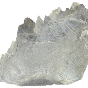 fishtail selenite fishc 5