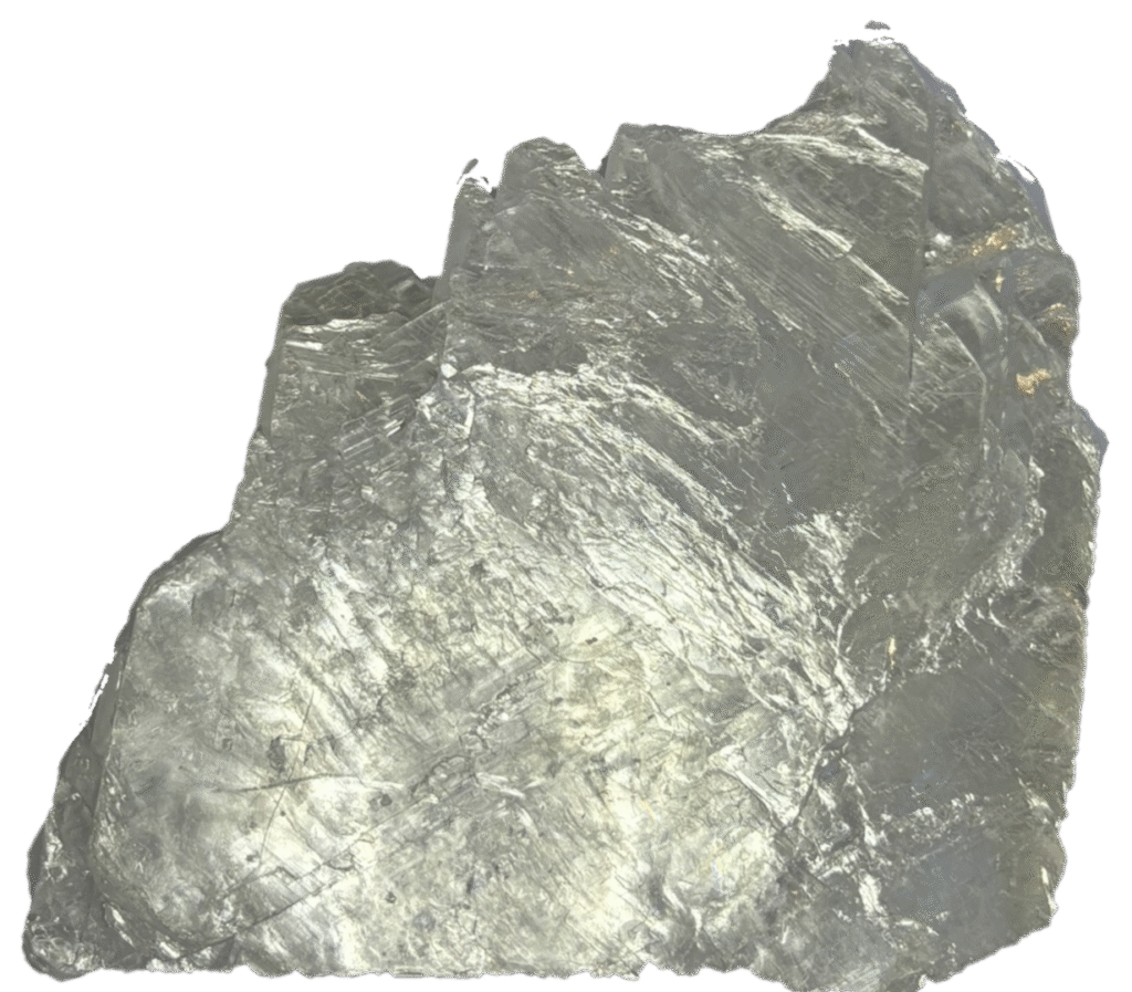 fishtail selenite fishc 6 - Sians Emporium fishtail selenite fishc 6
