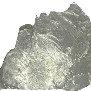 fishtail selenite fishc 6