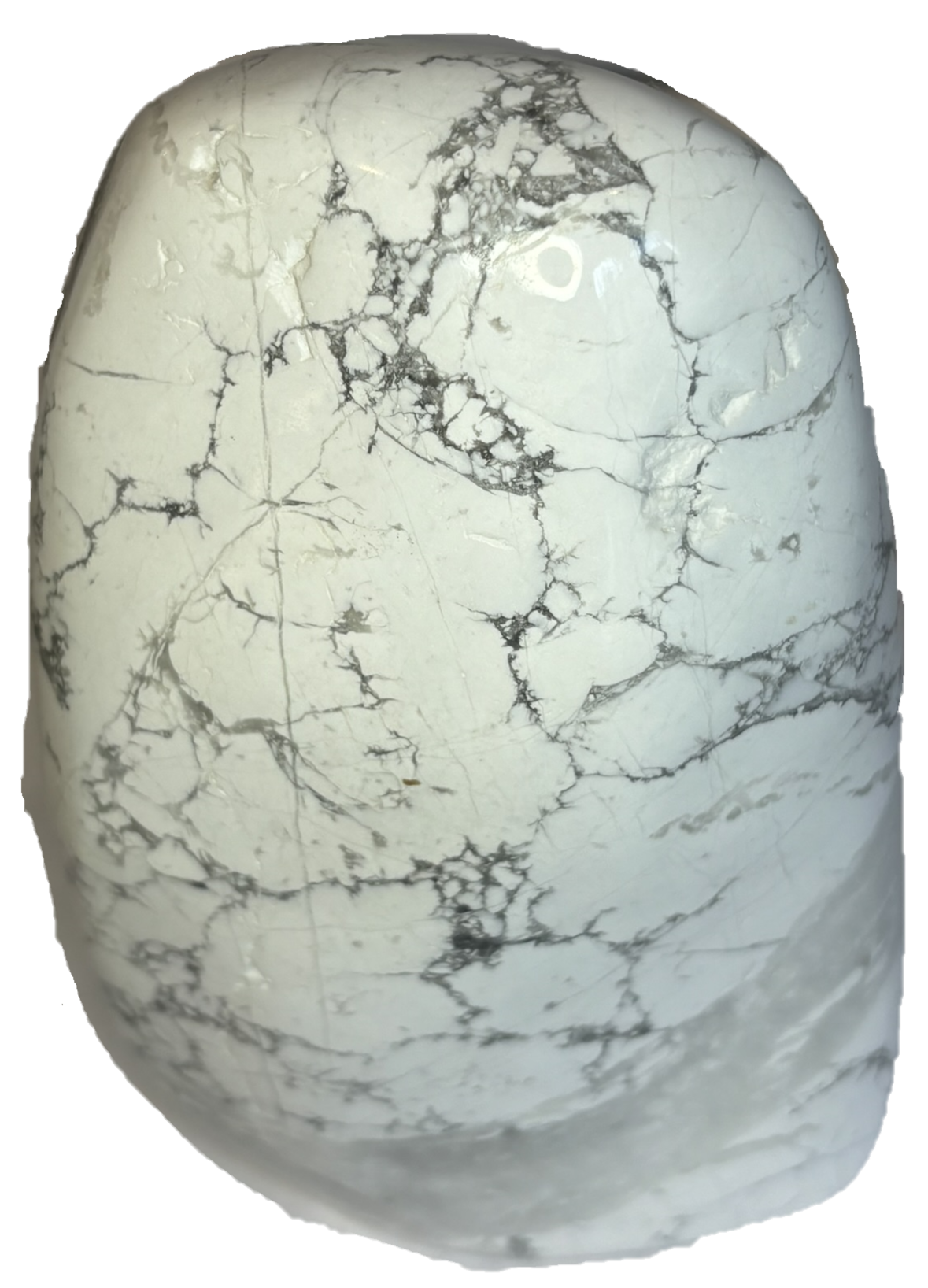 howlite hb 1 - Sians Emporium howlite hb 1