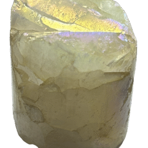 champagne aura j3 - Sians Emporium champagne aura j3