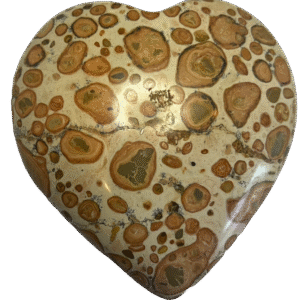 Leopard Skin Jasper b1