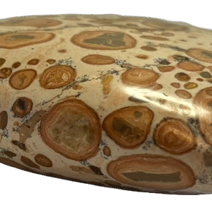Leopard Skin Jasper b2