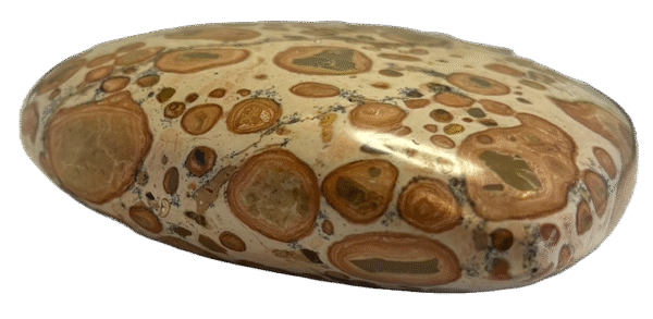 Leopard Skin Jasper b2