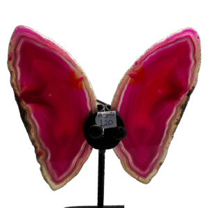 pink large agate butterfly 2