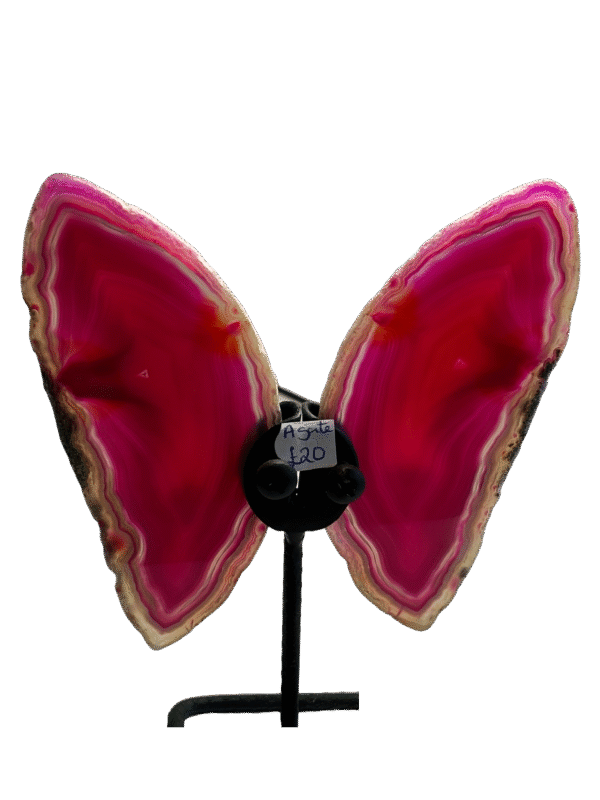 pink large agate butterfly 2
