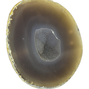 half agate nodule on a stand 2