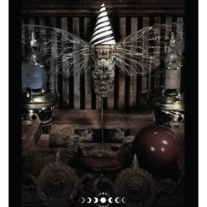 A Gothic Witch's Oracle 3