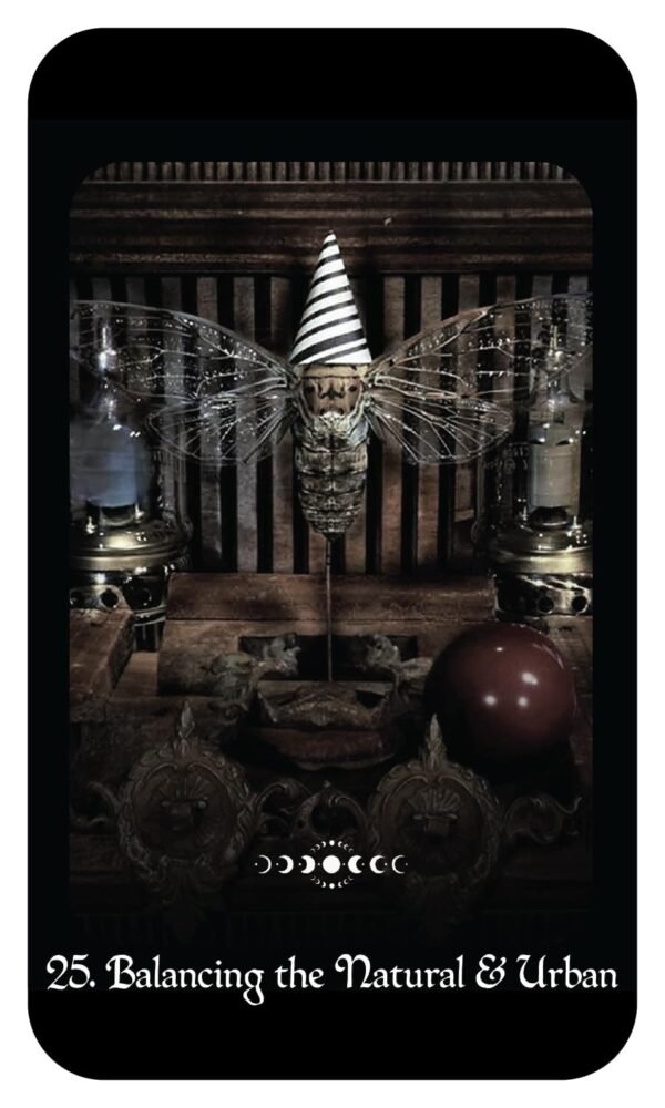 A Gothic Witch's Oracle 3